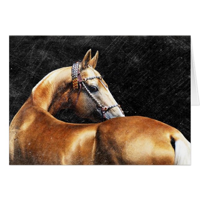 Palomino Akhal-Teke-Hengst (Vorderseite (Horizontal))