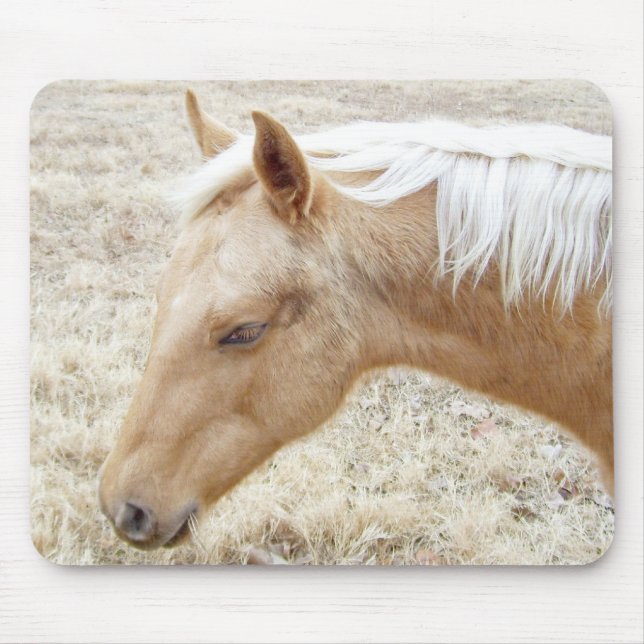Palomino Colt Pony Horse Mousepad (Vorne)