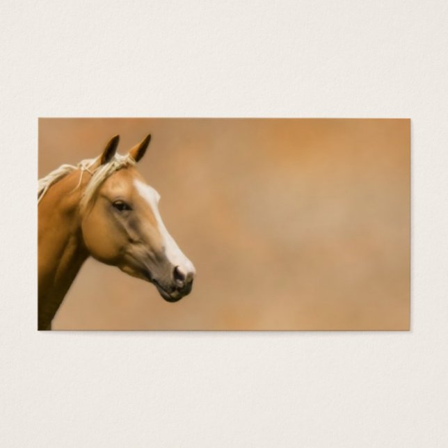 Palomino Elegance (Vorderseite)