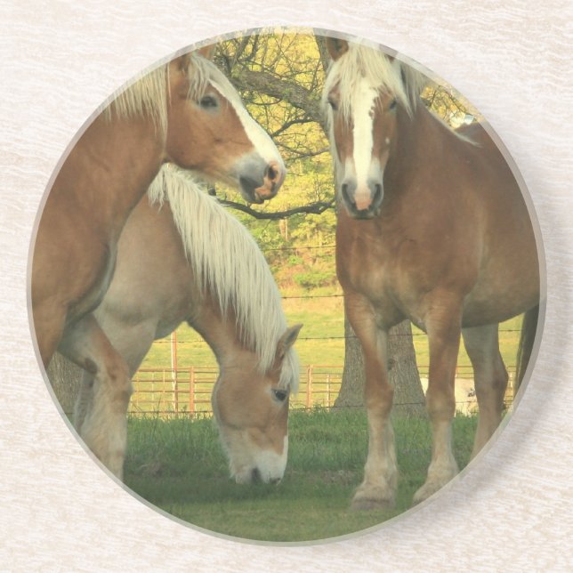 Palomino-Entwurfs-PferdeUntersetzer Sandstein Untersetzer (Vorne)