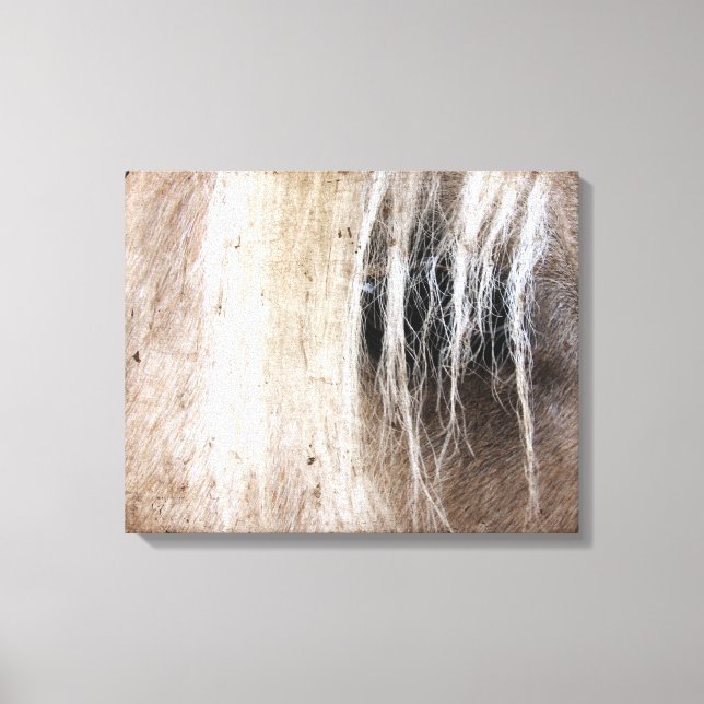 Palomino Grunge Leinwanddruck (Vorderseite)