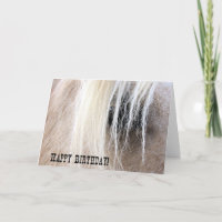 Palomino Horse Eye Birthday