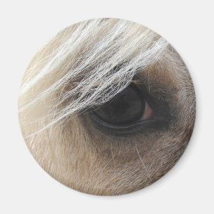 Palomino Horse Eye Magnet