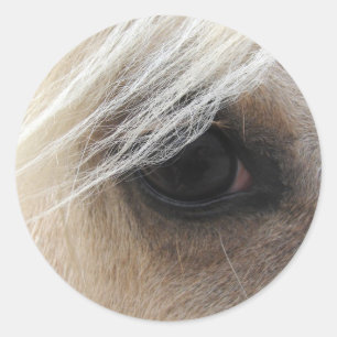 Palomino Horse Eye Runder Aufkleber