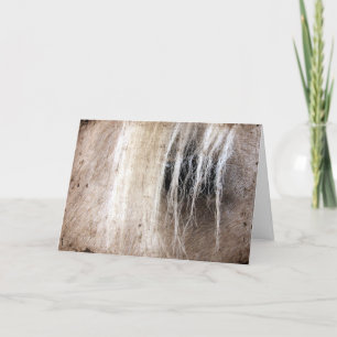 Palomino Horse Grunge Geburtstag Karte