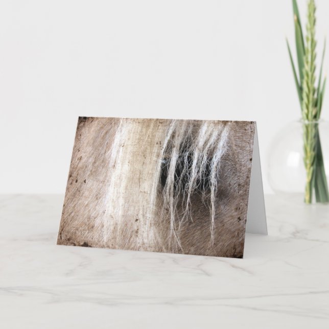 Palomino Horse Grunge Geburtstag Karte (Vorderseite)