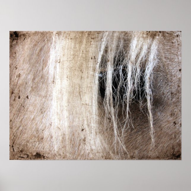 Palomino Horse Grunge Poster (Vorne)
