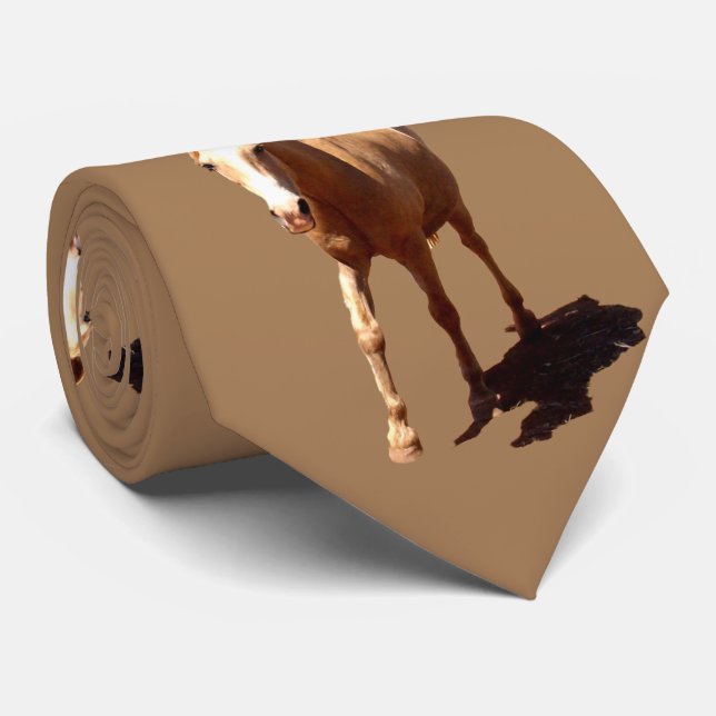 Palomino Horse Gruß, Krawatte (Gerollt)