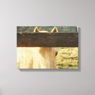 Palomino Horse Peeking Though The Fence Leinwanddruck