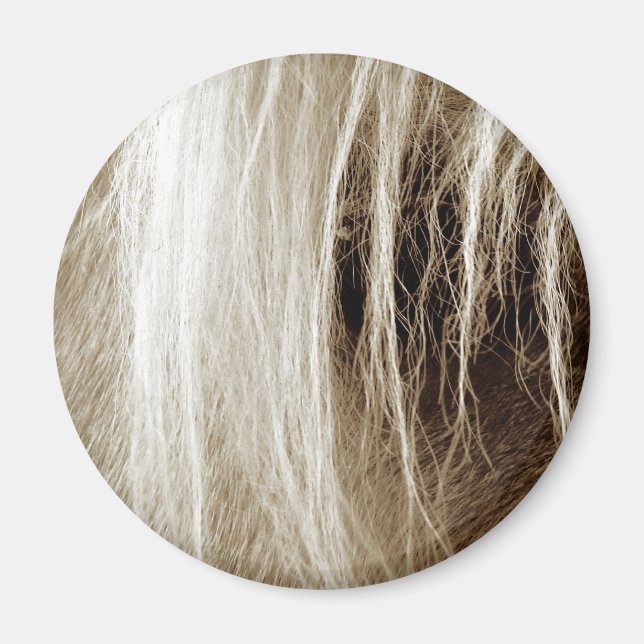 Palomino in Sepia Magnet (Vorne)