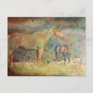 Palomino Mare and Foal Postkarte
