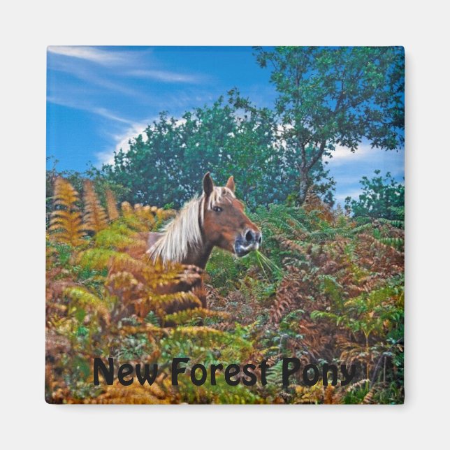 Palomino New Forest Pony Pferde-Liebhaber Geschenk Magnet (Vorne)