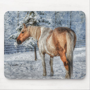 Palomino Paint Horse and Snow Equine Fotografie Mousepad