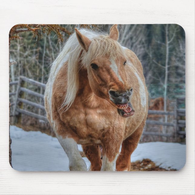 Palomino Paint Ranch Horse Equine Fotografie Mousepad (Vorne)