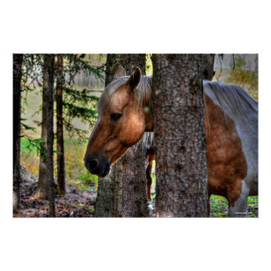 Palomino Paint Stallion & Forest Equine Foto Poster