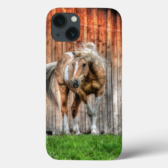 Palomino Paint Stallion und Barn für Pferdefreunde Case-Mate iPhone Hülle (Rückseite)