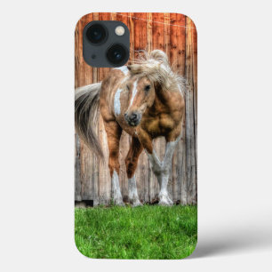 Palomino Paint Stallion und Barn für Pferdefreunde Case-Mate iPhone Hülle