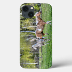 Palomino Paint & White Horse Bucking, Pferdefreund Case-Mate iPhone Hülle