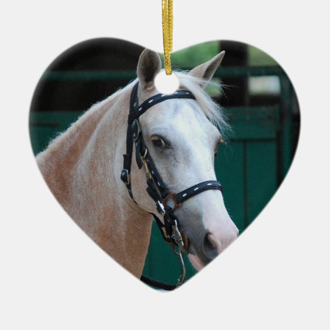 Palomino Paso Fino Verzierung Keramikornament (Vorne)