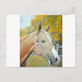 Palomino, Pastellross Postkarte