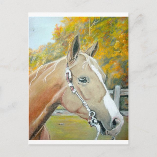 Palomino, Pastellross Postkarte (Vorderseite)