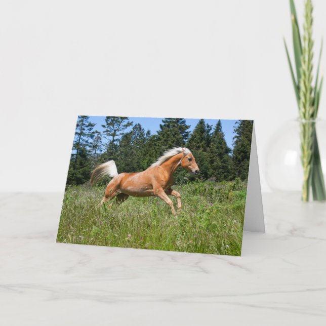 Palomino Pferd durch eine Wiese Karte (Vorderseite)