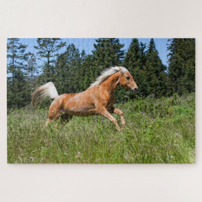 Palomino Pferd durch eine Wiese Puzzle (Horizontal)