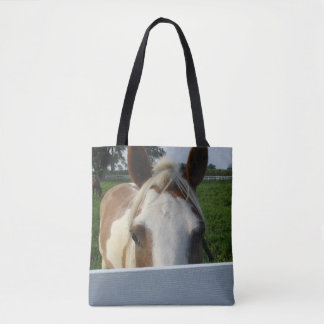 Palomino Pferd Flüchtige Blick