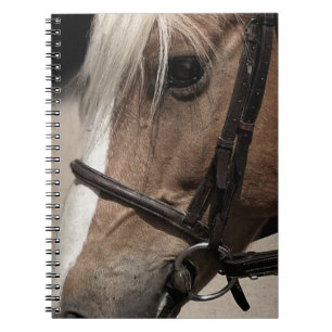 Palomino Pferd in Bridle Notizblock