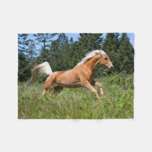 Palomino-Pferd läuft durch eine Wiese Fleecedecke
