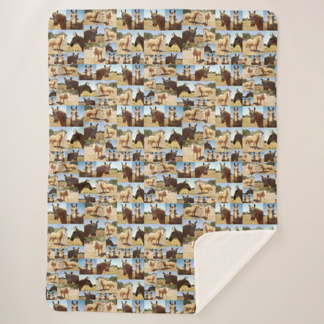 Palomino Pferde Collarge, Sherpadecke (Vorderseite)