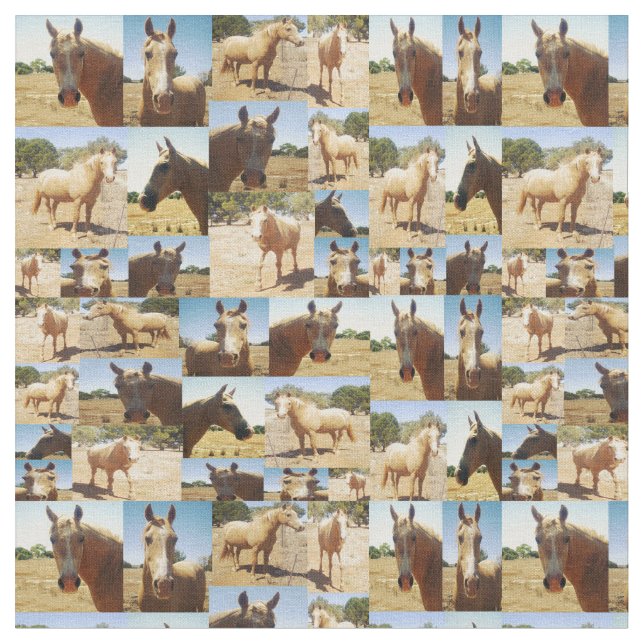 Palomino Pferde FotoCollage, Stoff (Nahaufnahme)