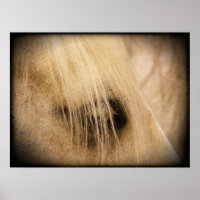Palomino Pferdefass Side Grunge