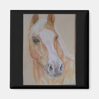 Palomino-Pferdemagnet Magnet