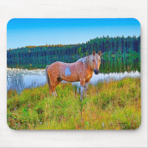 Palomino Pinto am See und Wald Szene Mousepad
