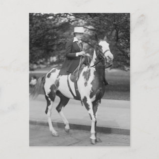 Palomino Pony, 1915 Postkarte