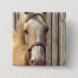 Palomino-Pony-Quadrat-Button Button