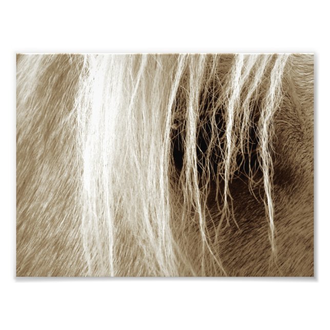 Palomino Sepia Fotodruck (Vorne)