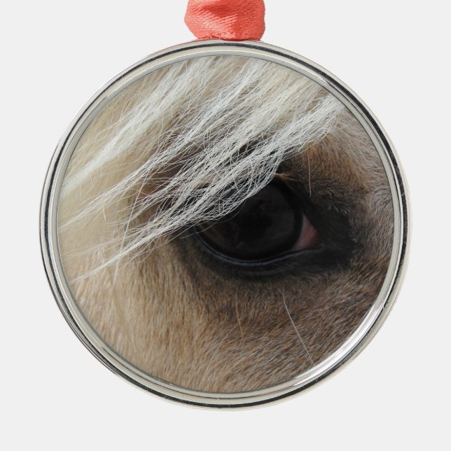 Palomino Silbernes Ornament (Vorne)