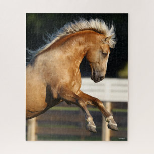 Palomino Tennessee Walker Stallion Puzzle