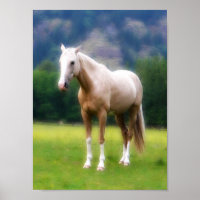 Palomino Traumpferd