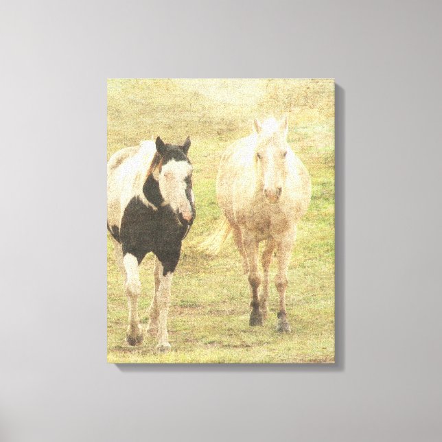 Palomino und Pinto Leinwanddruck (Vorderseite)