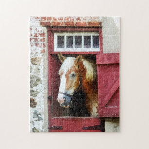 Palomino von Barn Door Puzzle