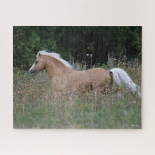 Palomino Walisischer Pony, die in langen Gras läuf Puzzle