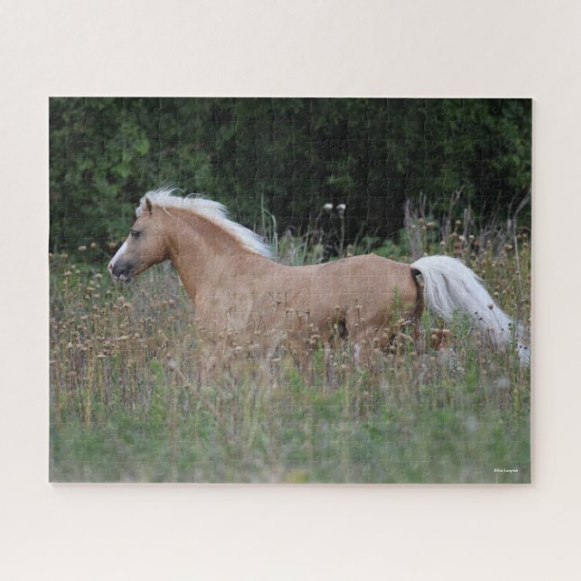 Palomino Walisischer Pony, die in langen Gras läuf Puzzle (Horizontal)