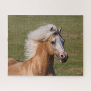 Palomino Welsh Pony Headhot Mane Flows Puzzle