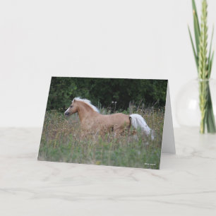 Palomino Welsh Pony Running In Long Grass Karte