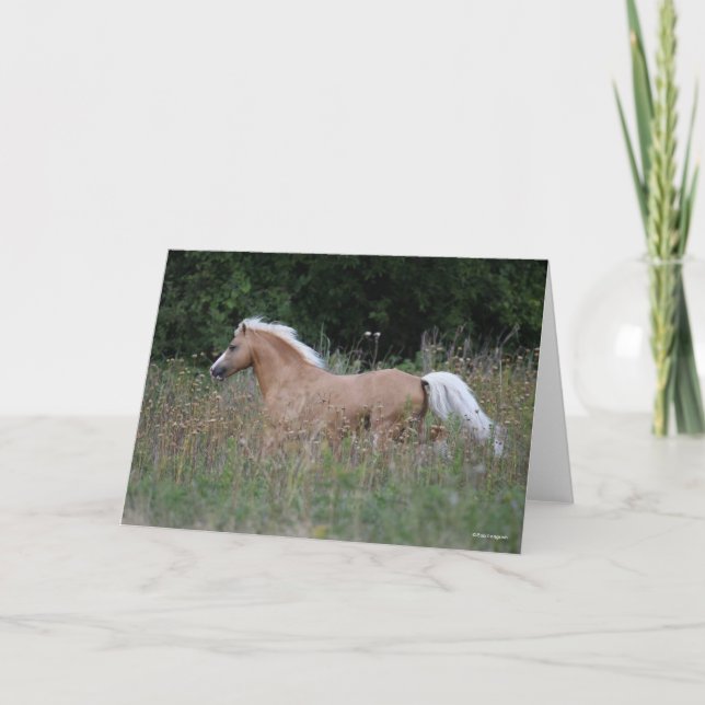 Palomino Welsh Pony Running In Long Grass Karte (Vorderseite)