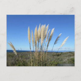 PALOS VERDES. CA #9 POSTCARD POSTKARTE