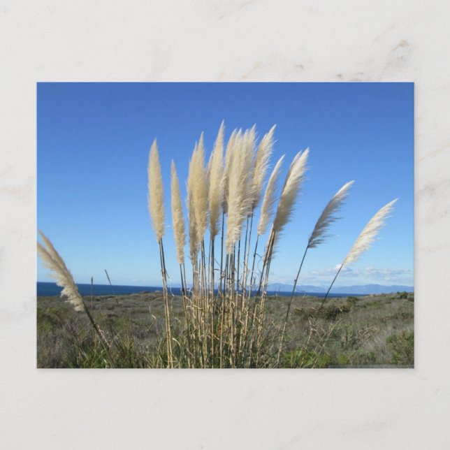 PALOS VERDES. CA #9 POSTKARTE (Vorderseite)